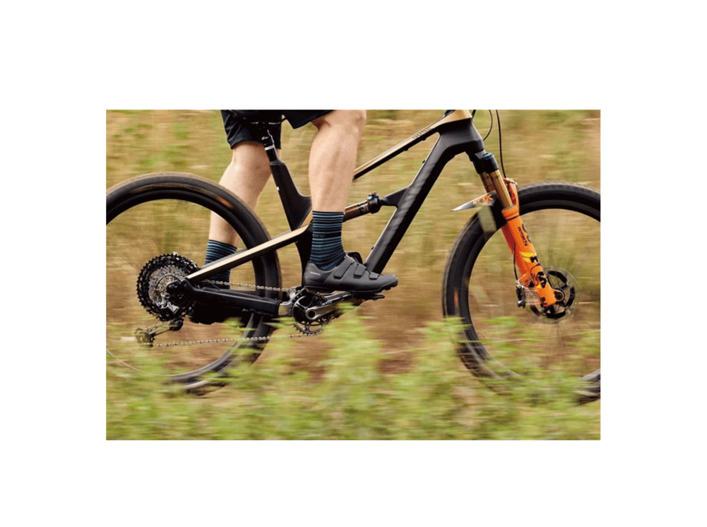 SHIMANO SHOES 商品画像