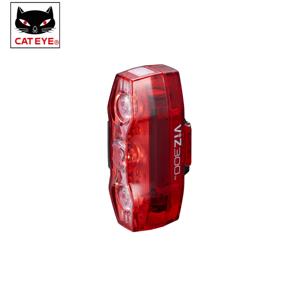 ビズ300 TL-LD810